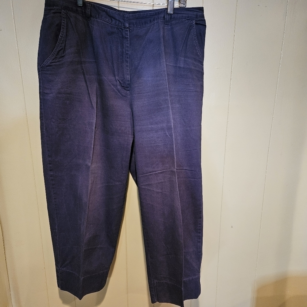 Style and Company Blue Capris, Straight-Leg, Slim Fit, Plus-Size 16W, Stretchy